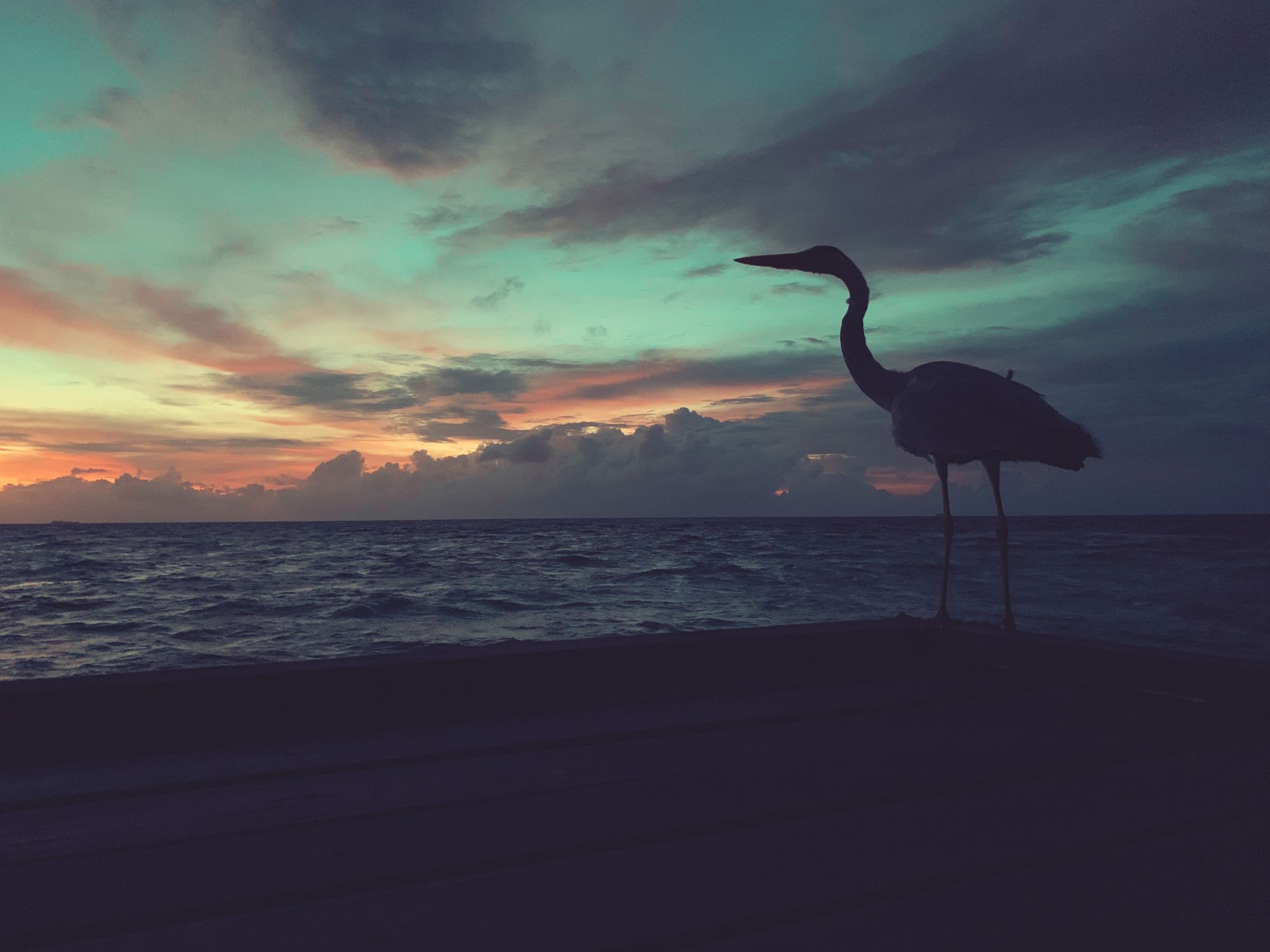 Picfx v9.3